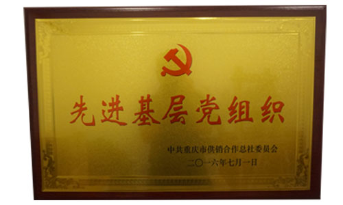 先进下层党组织